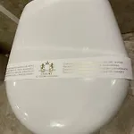 アパート Luxury 4 Al Duomo Di パルマ